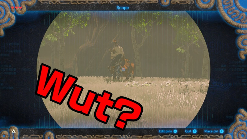 Illustration for article titled ThePickyGamer Reviews The Legend of Zelda: Breath of the Wild- The Master Trials- Part 2, The Korok Mask, The Travel Medallion, Hero's Path Mode, And Master Mode